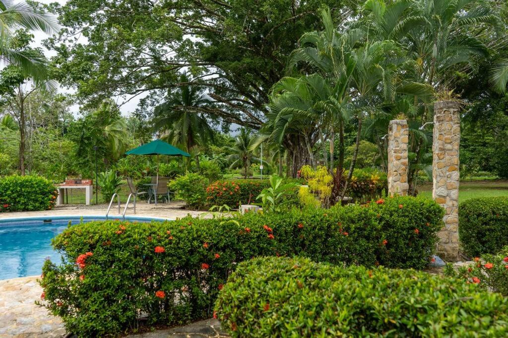 Tropical Oasis Family 2bdr
