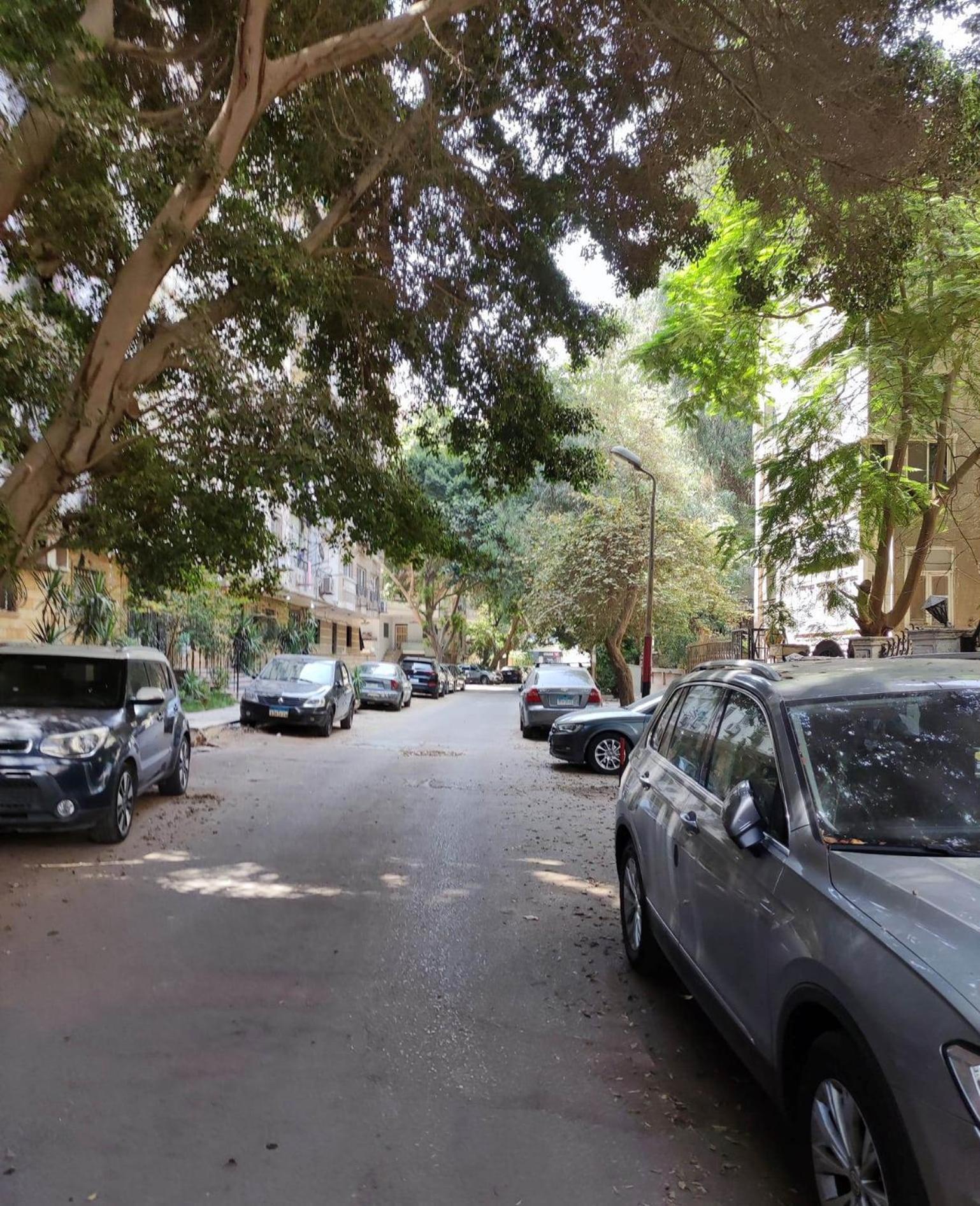Lovely & Calm Rooftop in Maadi 5 min from the Nile