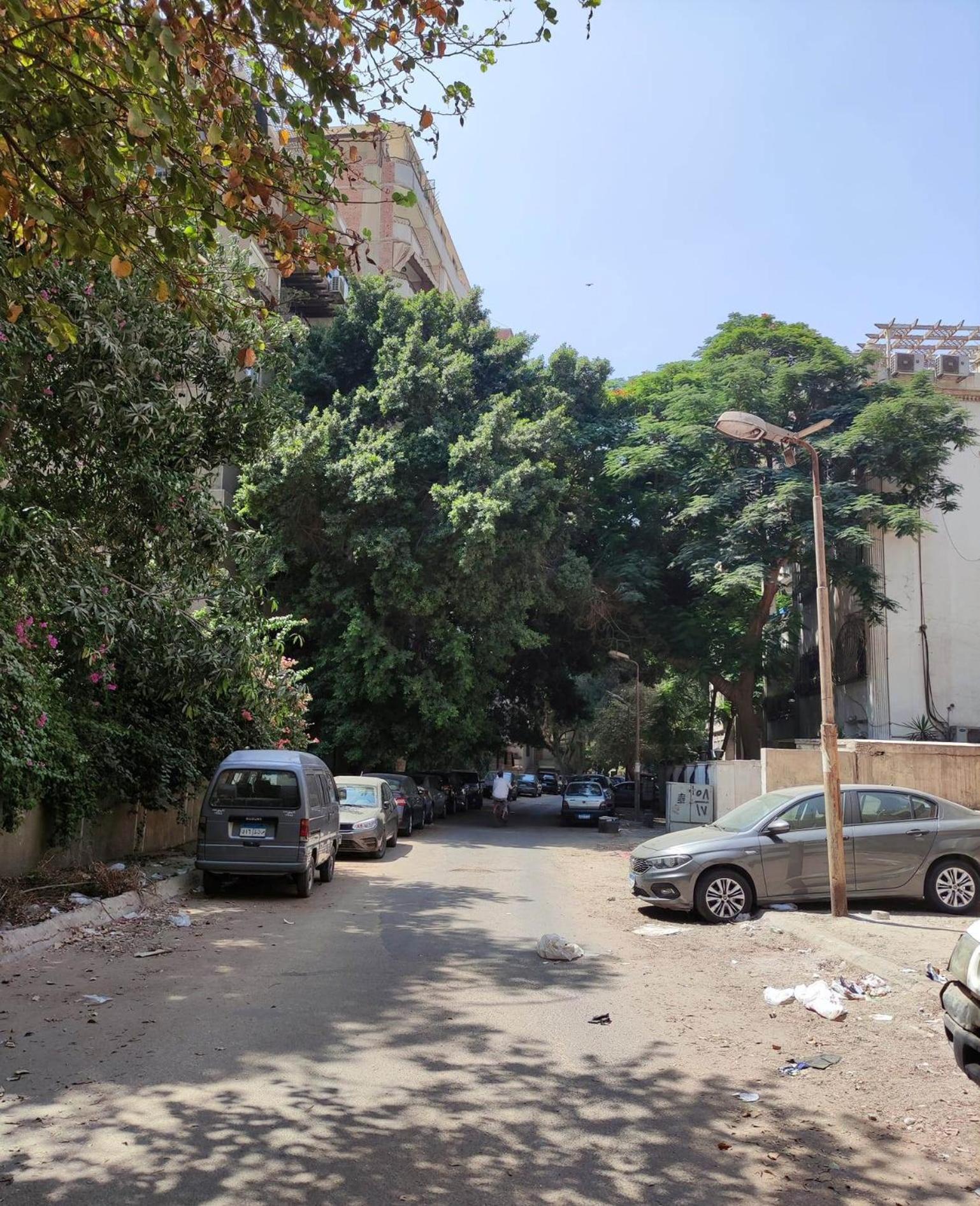 Lovely & Calm Rooftop in Maadi 5 min from the Nile