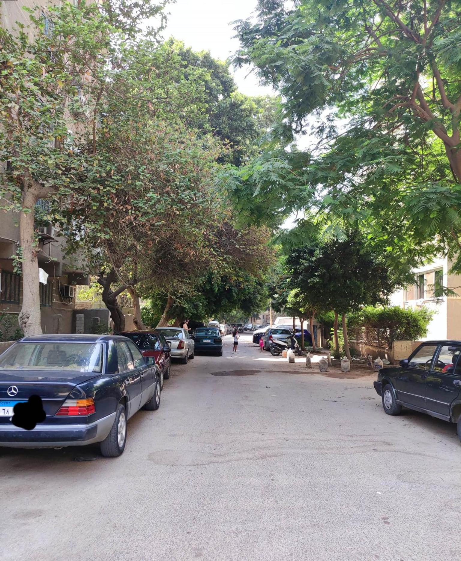 Lovely & Calm Rooftop in Maadi 5 min from the Nile