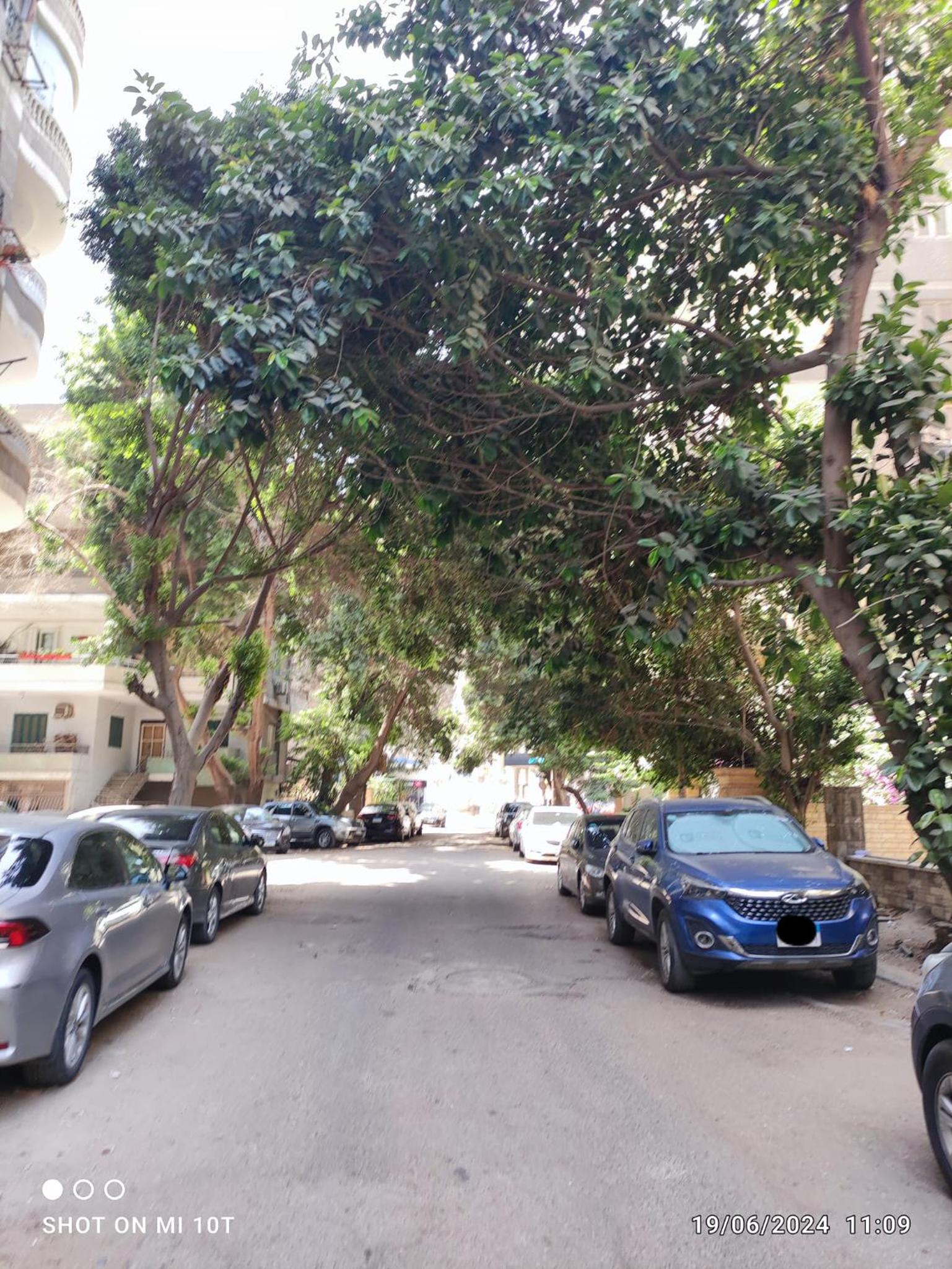 Lovely & Calm Rooftop in Maadi 5 min from the Nile