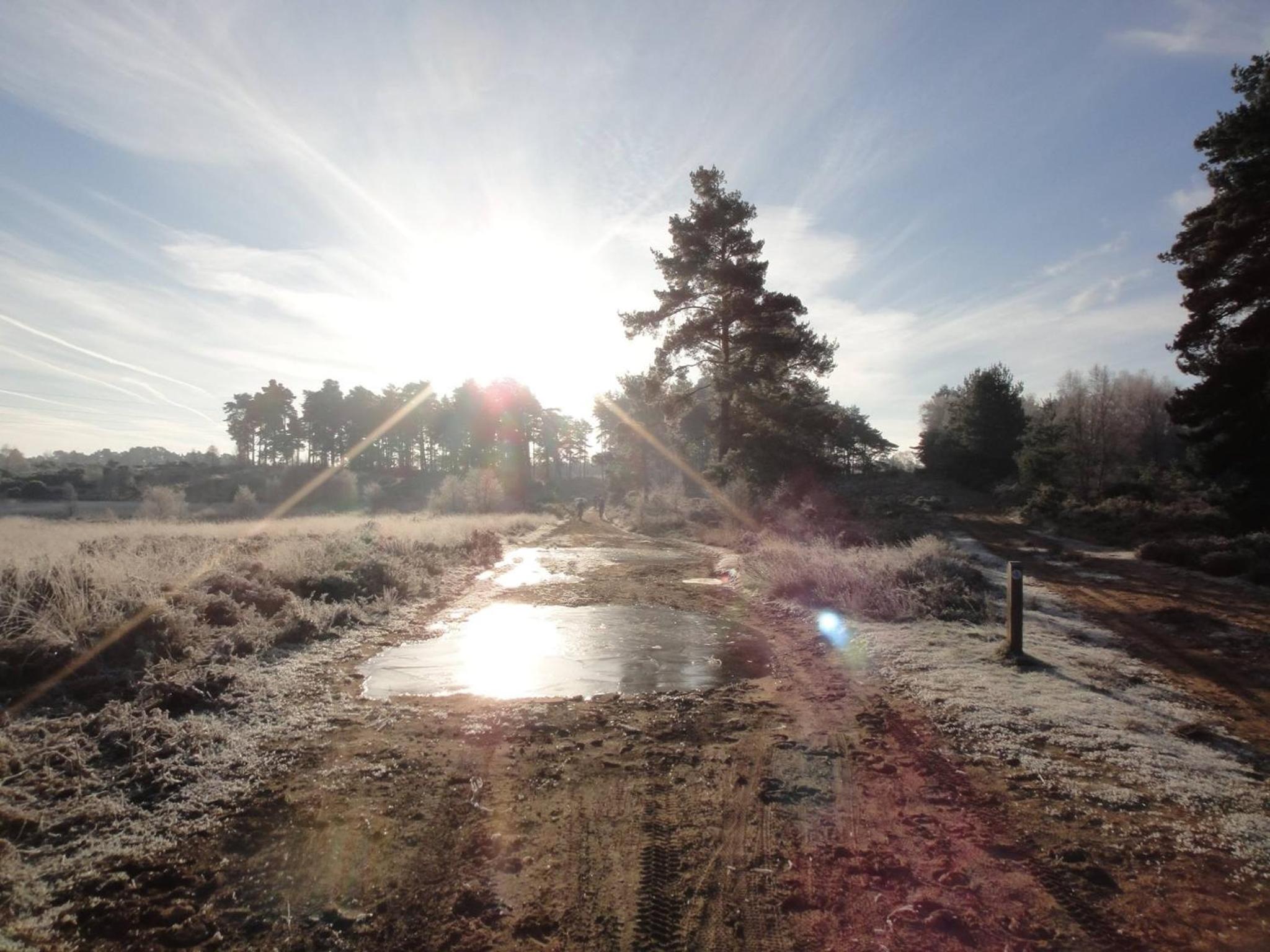 Photo 31