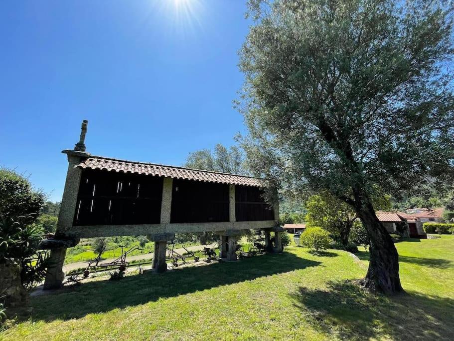 Quinta do Paço - Casa do Caseiro view 5