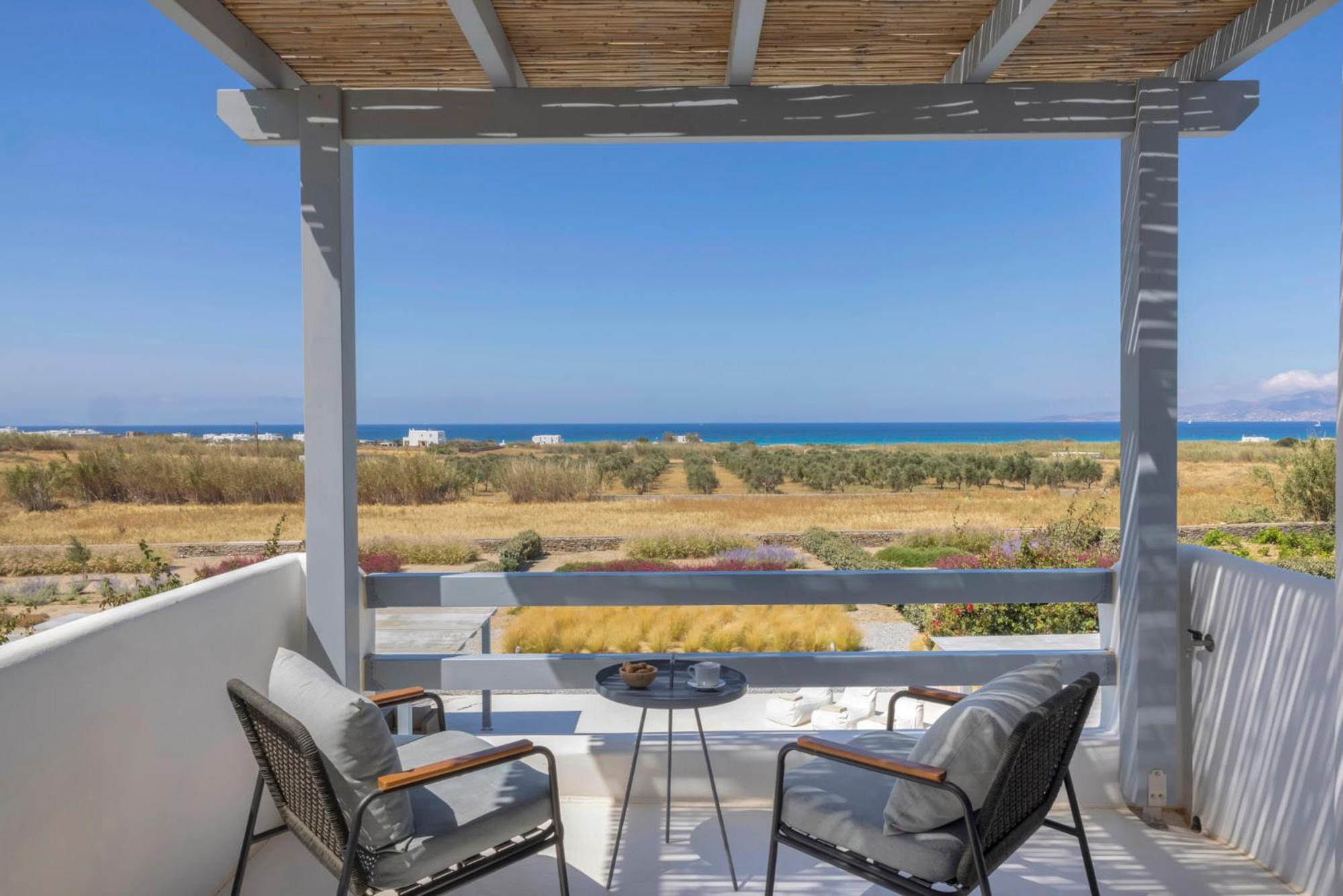 Villa Ellie, private pool & seaview by Naxos Dunes photo 5