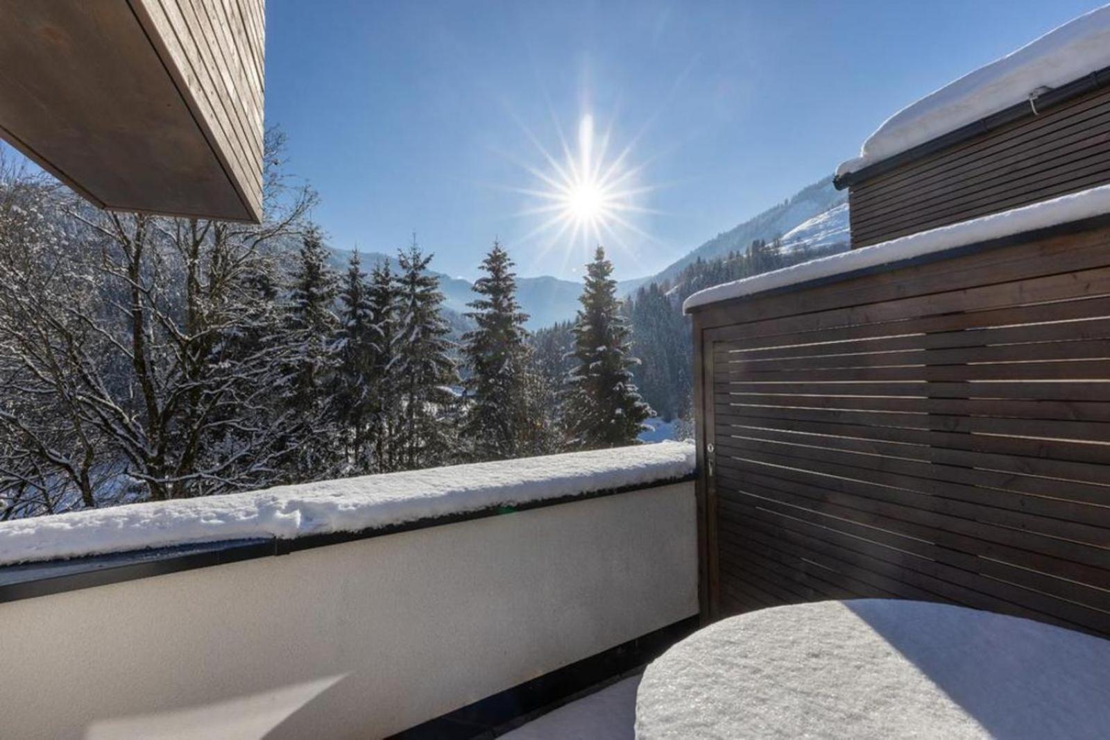 Appartement Schmittenblick Top 5