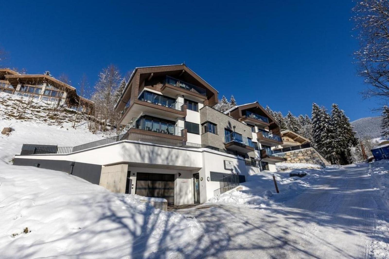 Appartement Schmittenblick Top 3