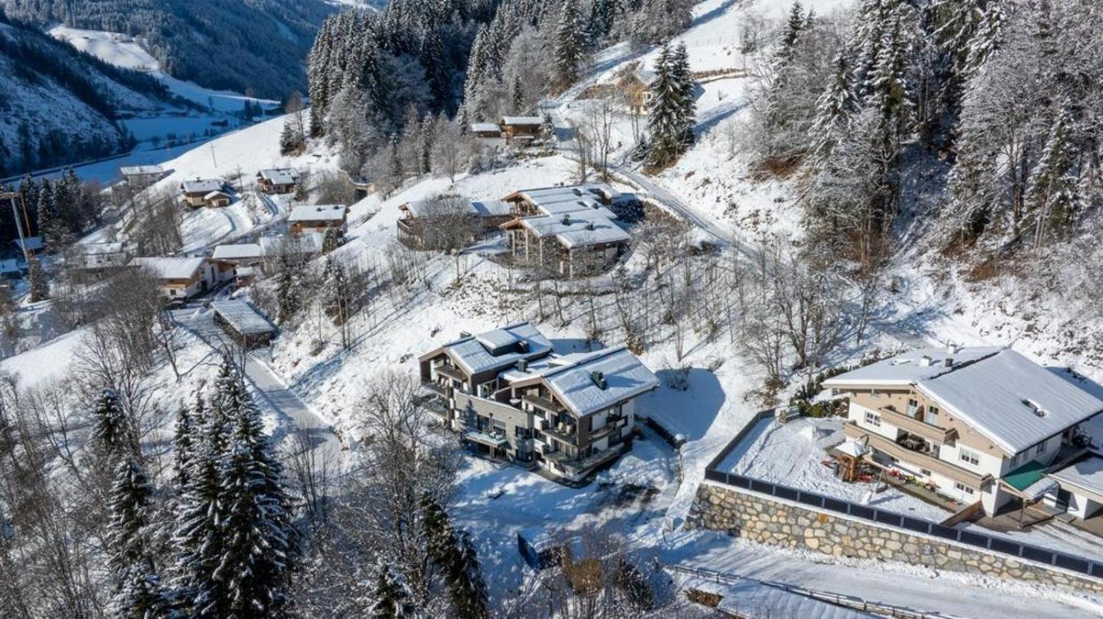 Appartement Schmittenblick Top 3