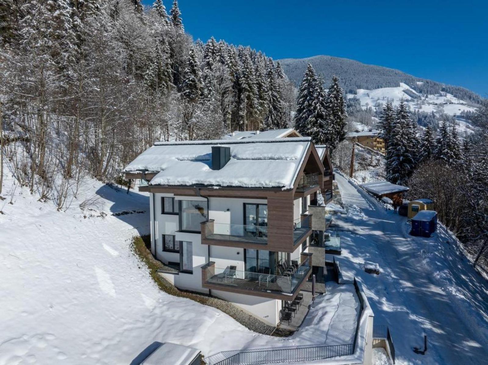 Appartement Schmittenblick Top 1