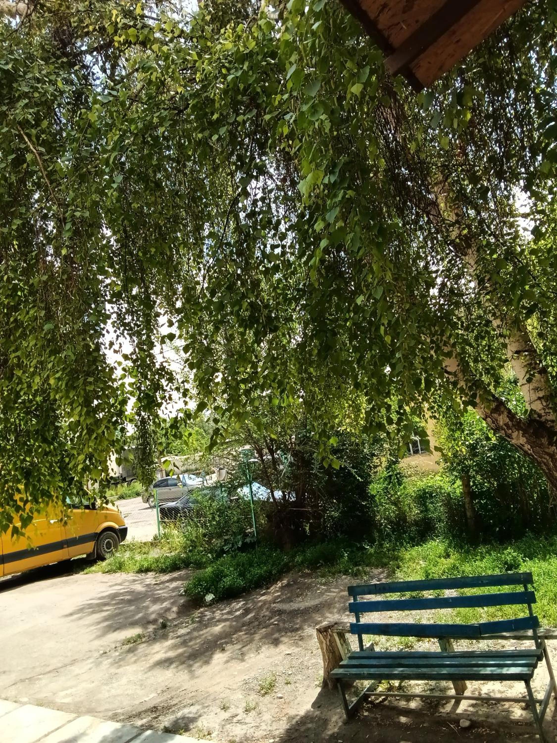 Photo 19