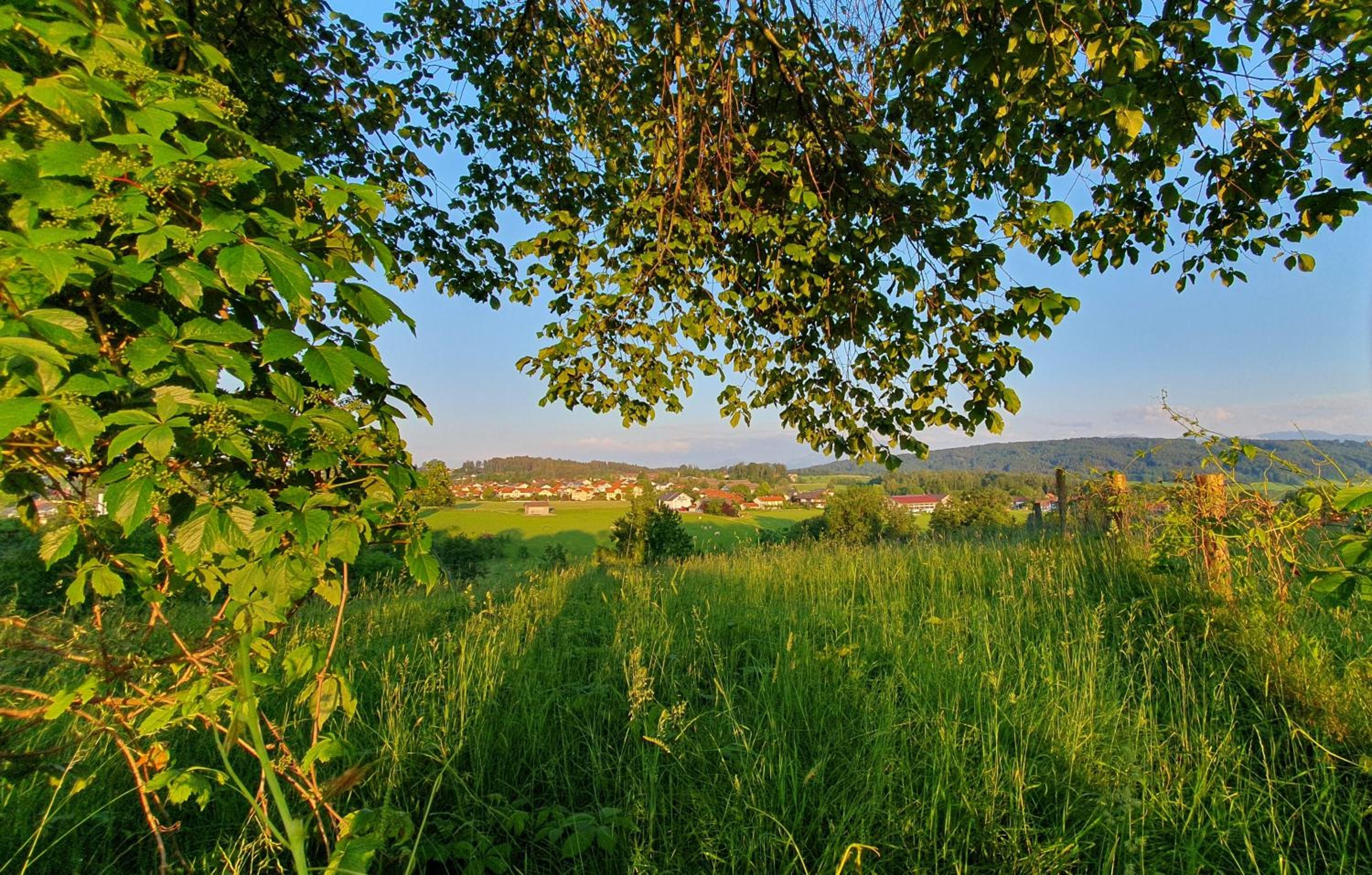 Ferienwohnungen Stecher