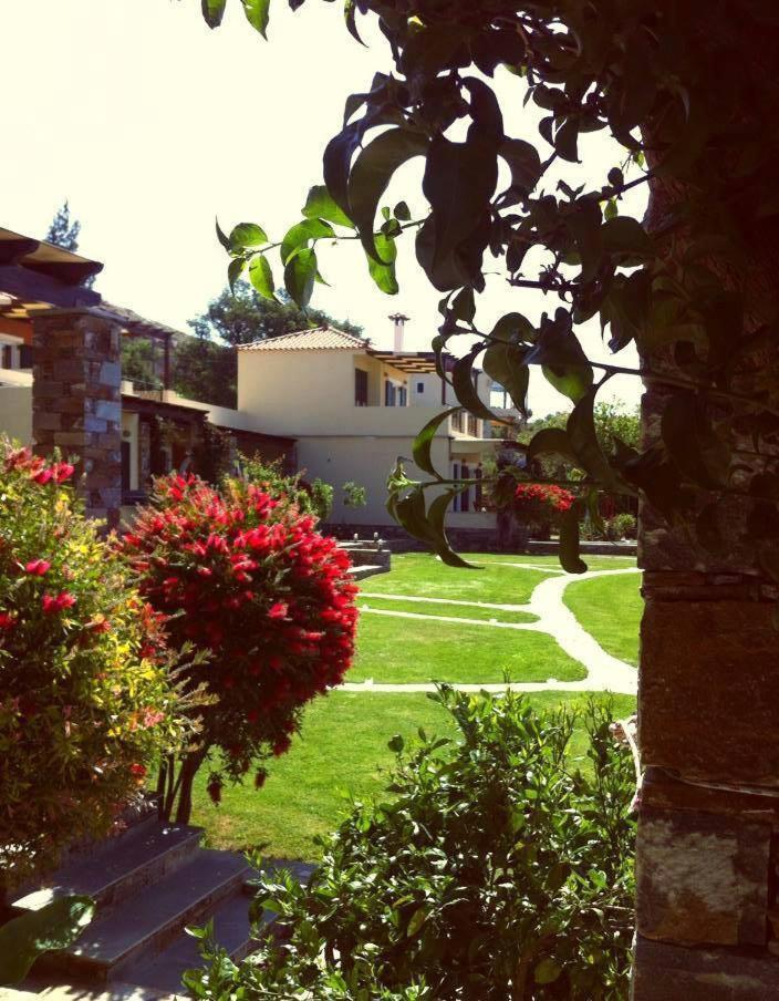 Photo 23