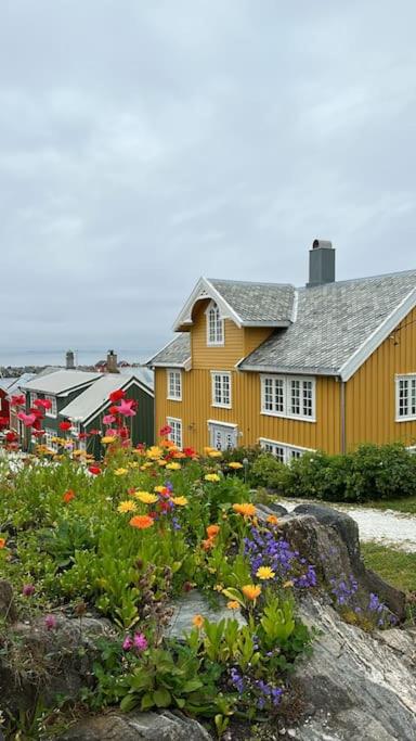 Sjønært småbruk