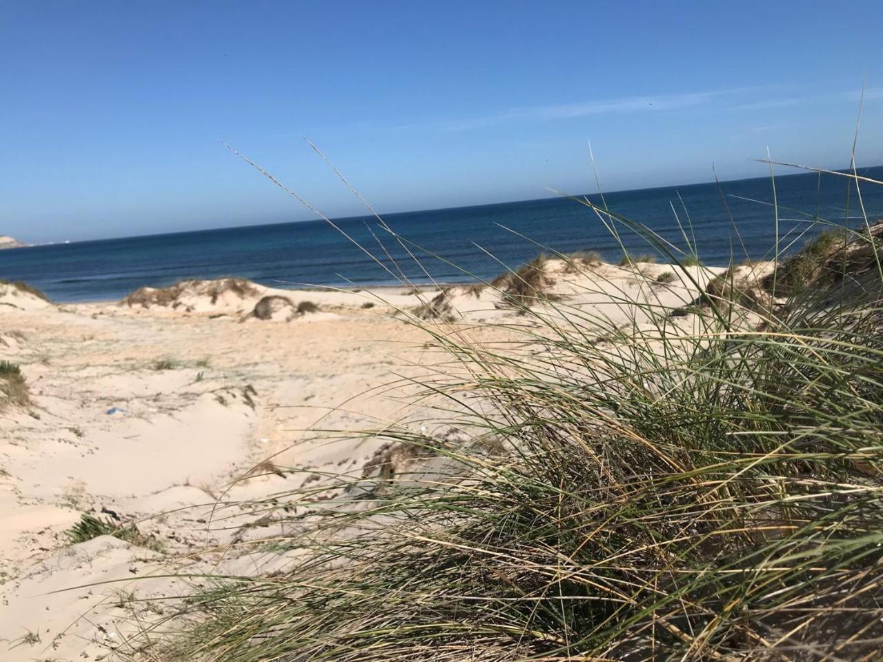 Aux Oliviers du Cap