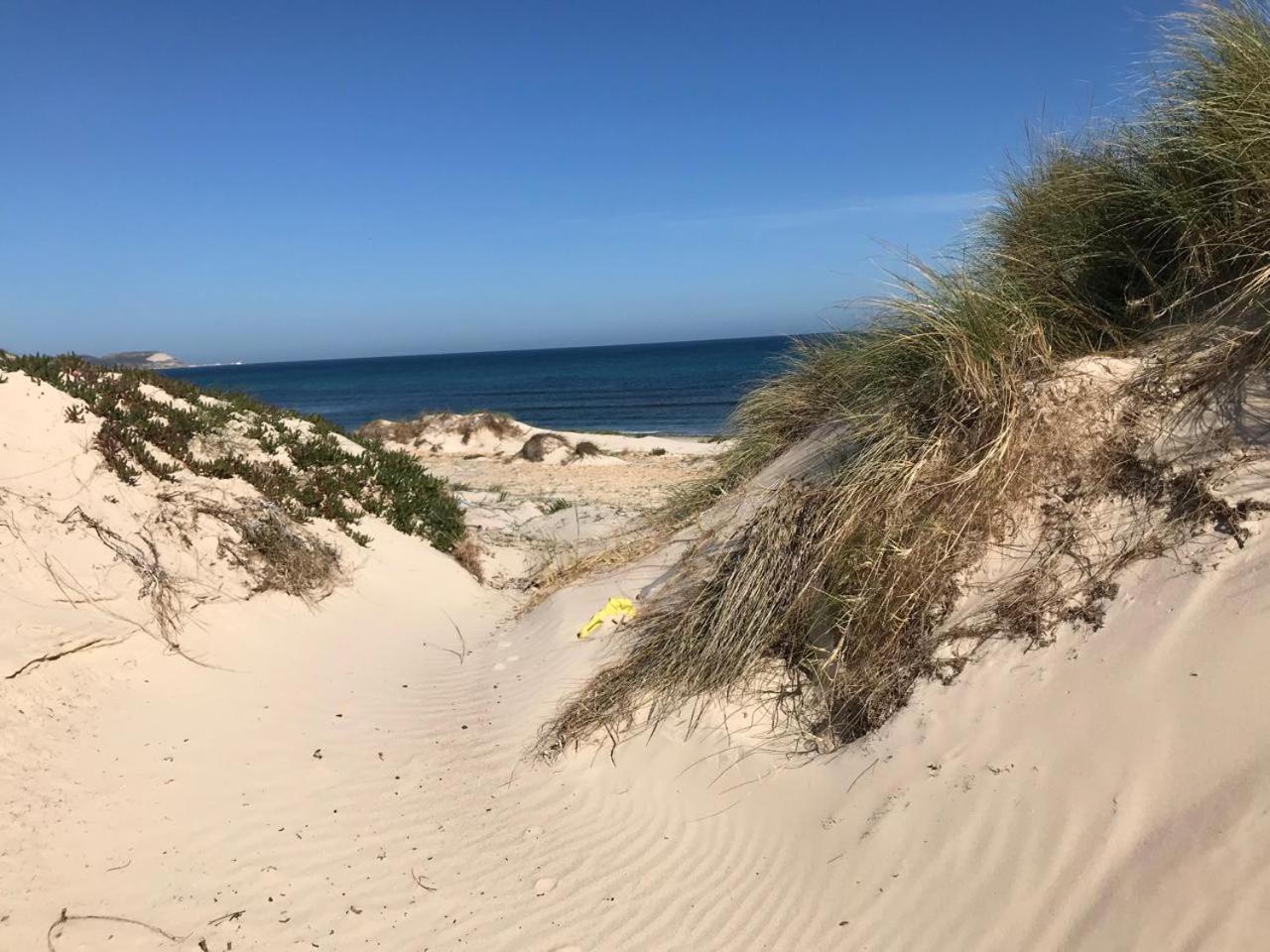 Aux Oliviers du Cap