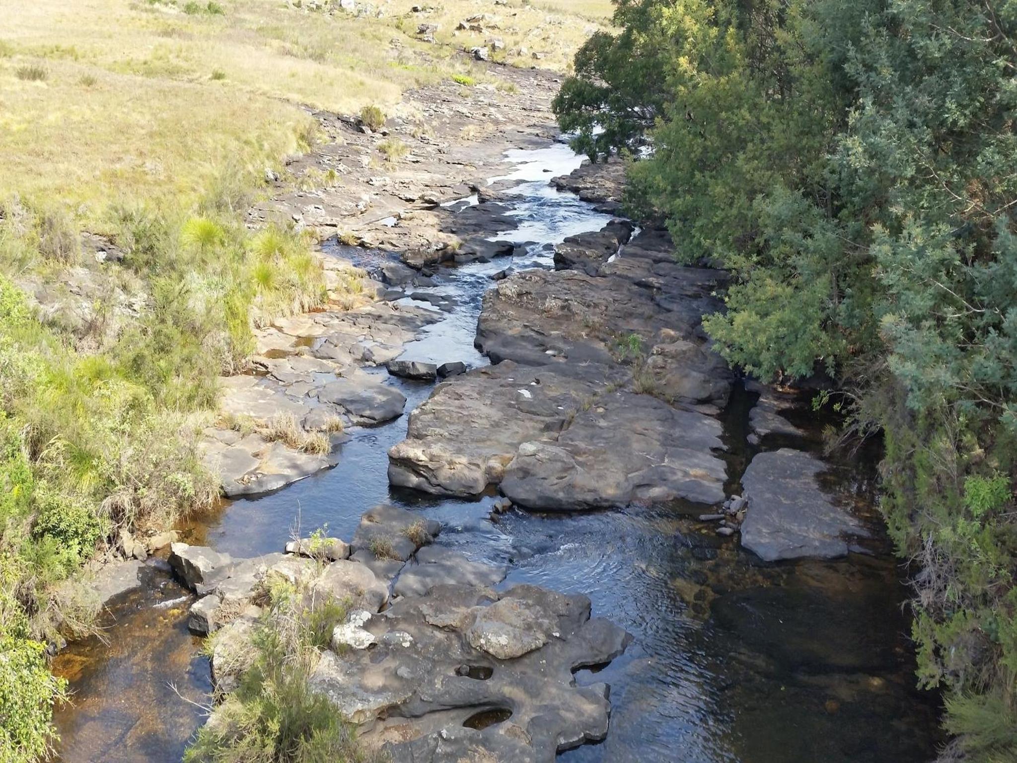 Photo 40