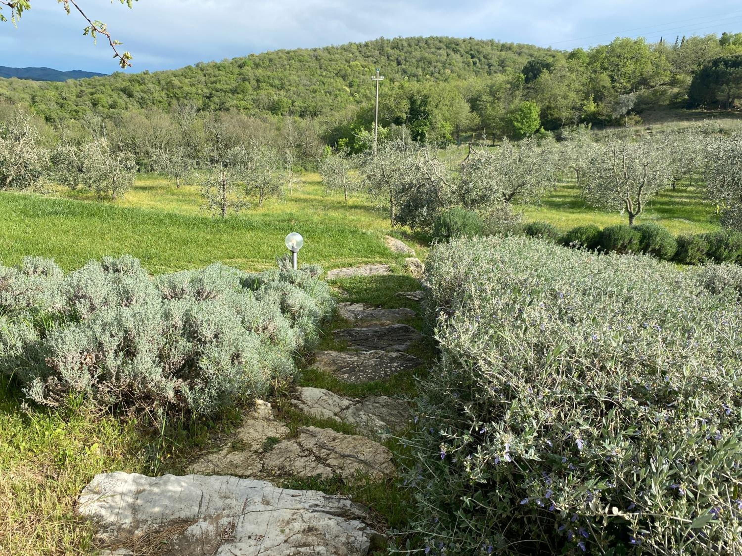 Villa Rosa di Chianti view 4