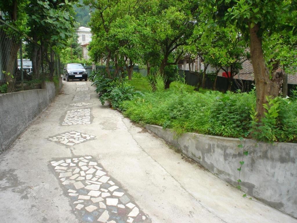 Sarpi