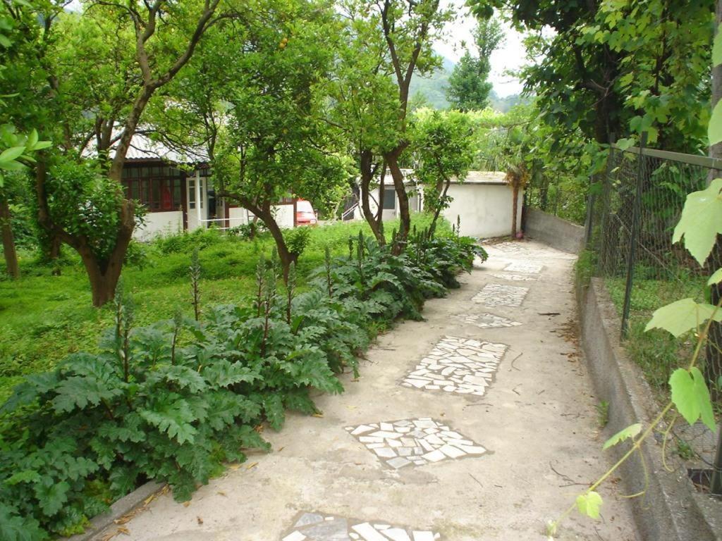 Sarpi