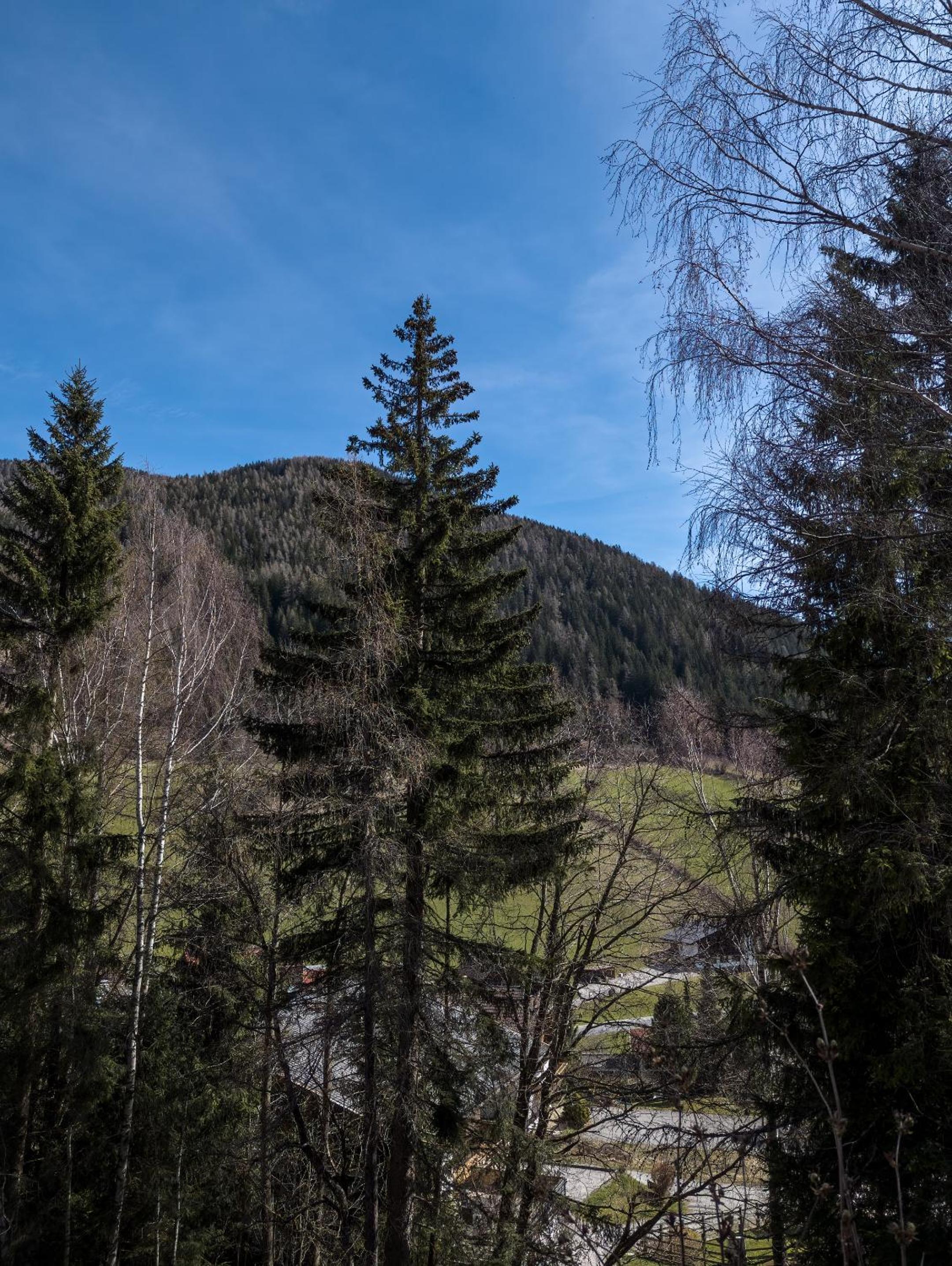 Alpenglück - Ferienwohnung