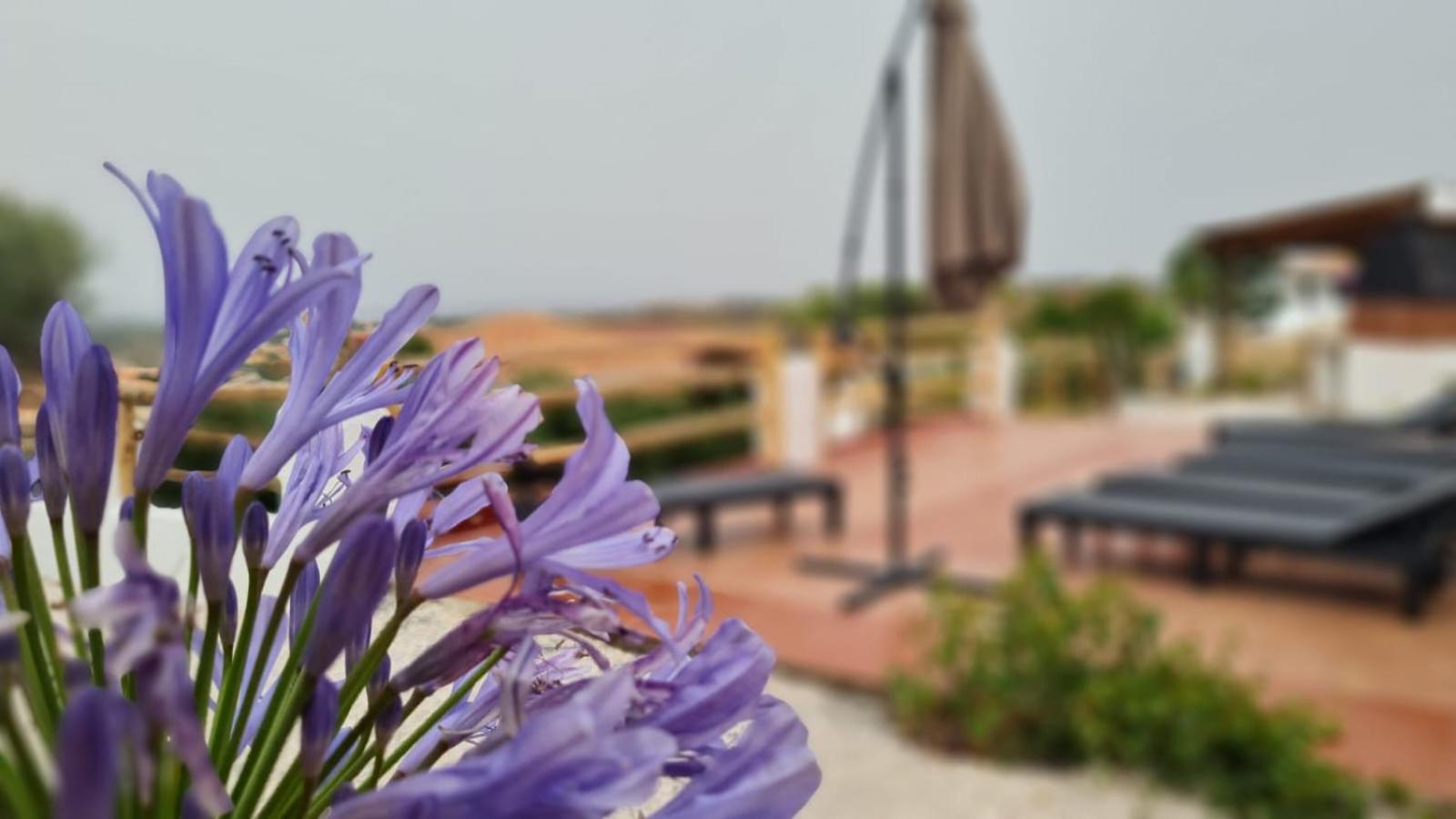 Villa Sa Mama