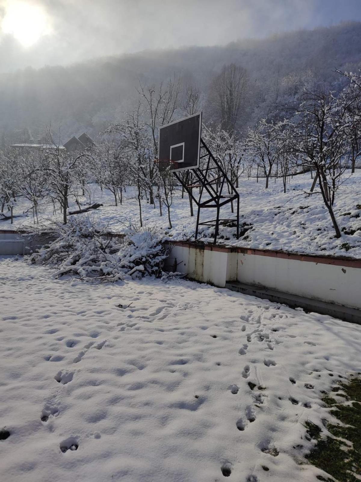 Resting House Oaza