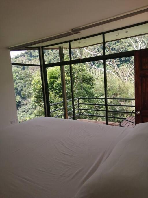 Cozy Rainforest Loft for vacation or work