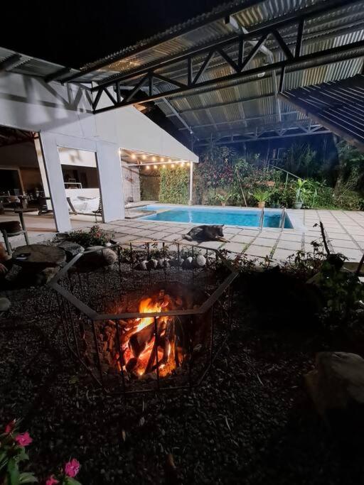Cozy Rainforest Loft for vacation or work