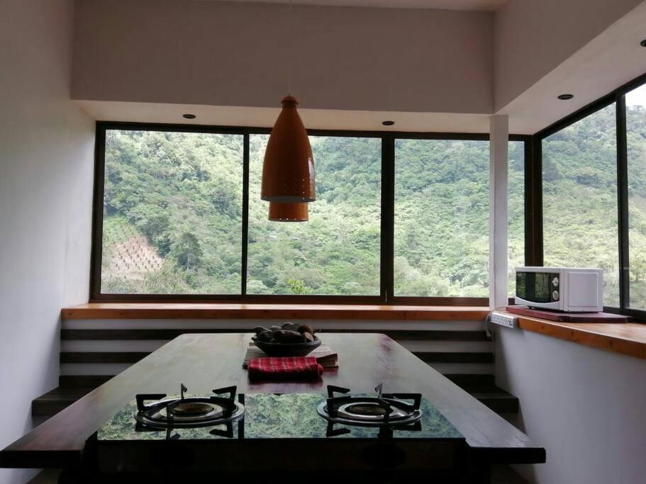 Cozy Rainforest Loft for vacation or work