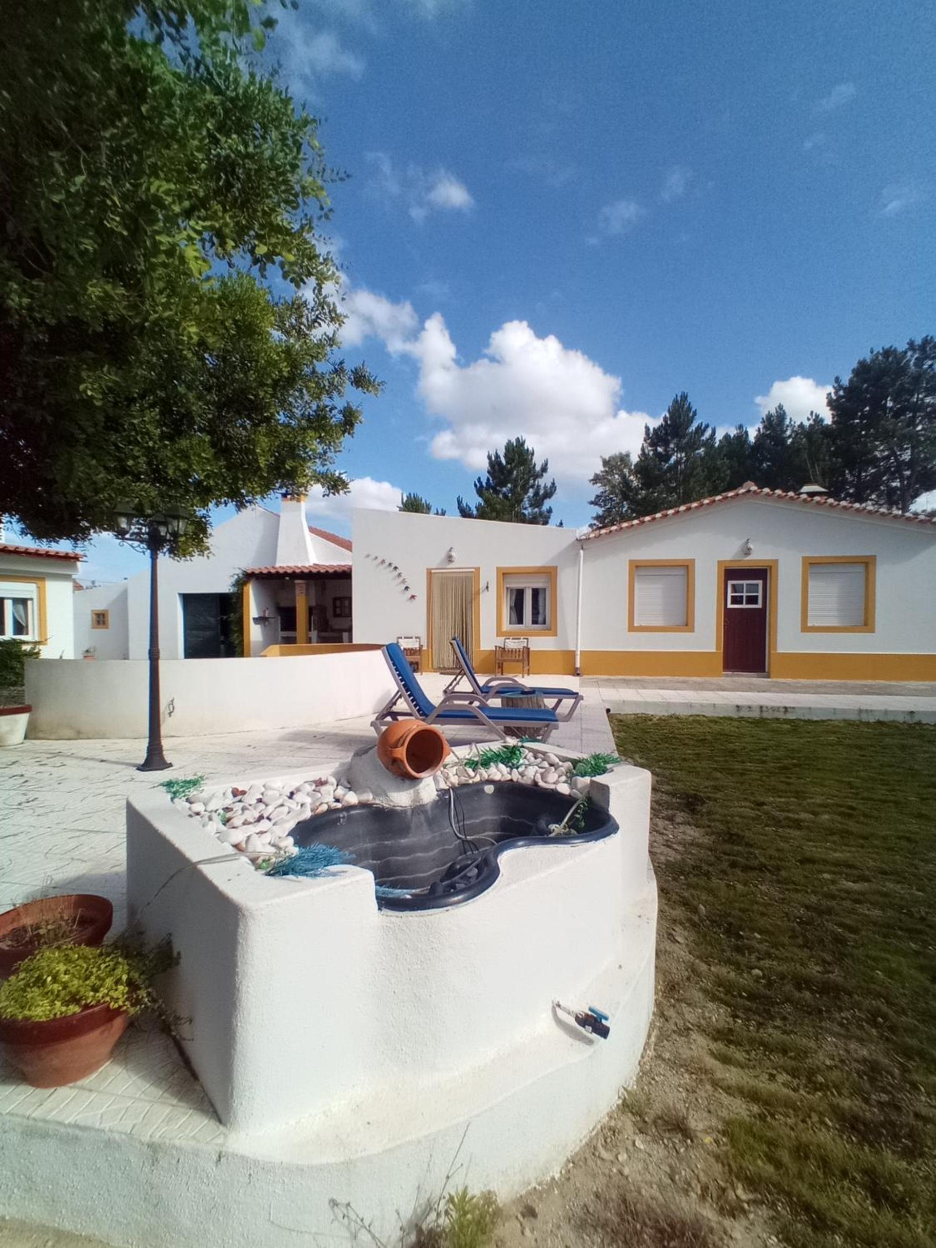 Photo 51