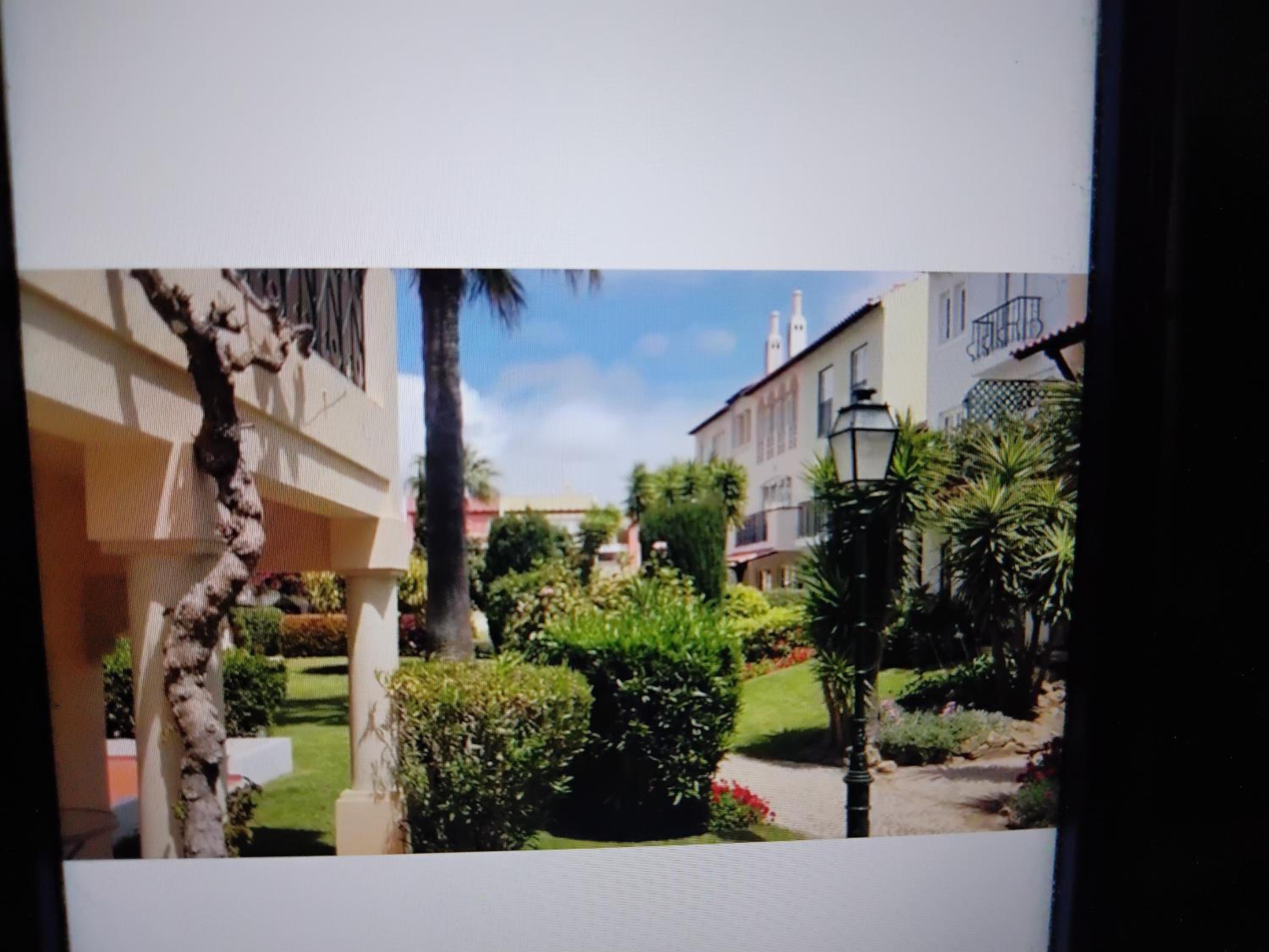 Nice flat in a beautiful condo view 2