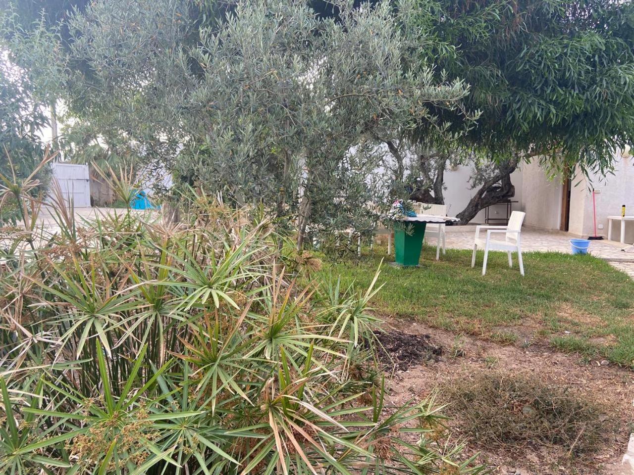 Aux Oliviers du Cap