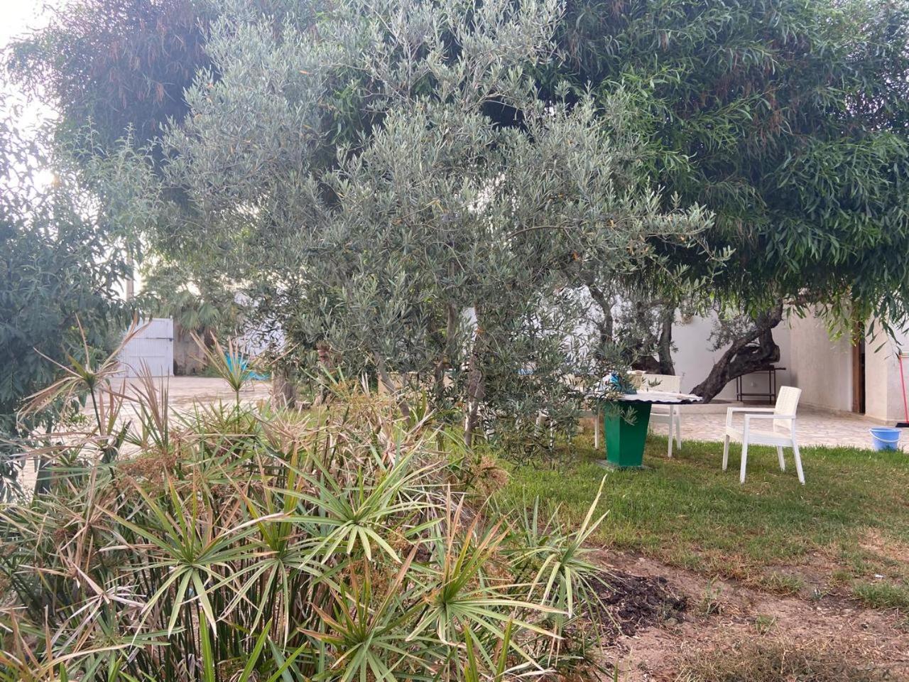 Aux Oliviers du Cap