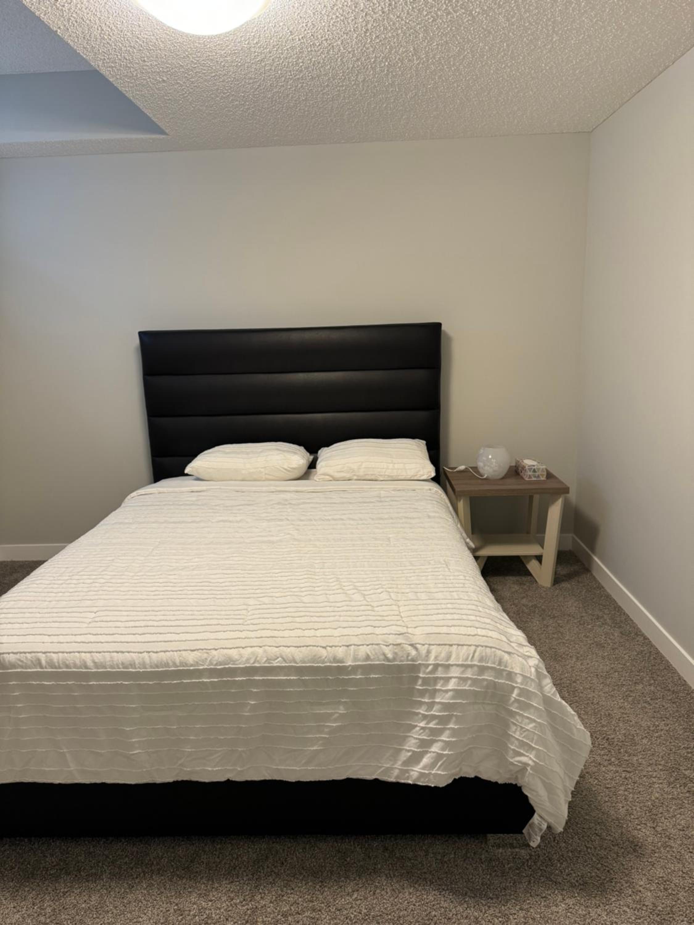 Brand new 1 bedroom basement suit
