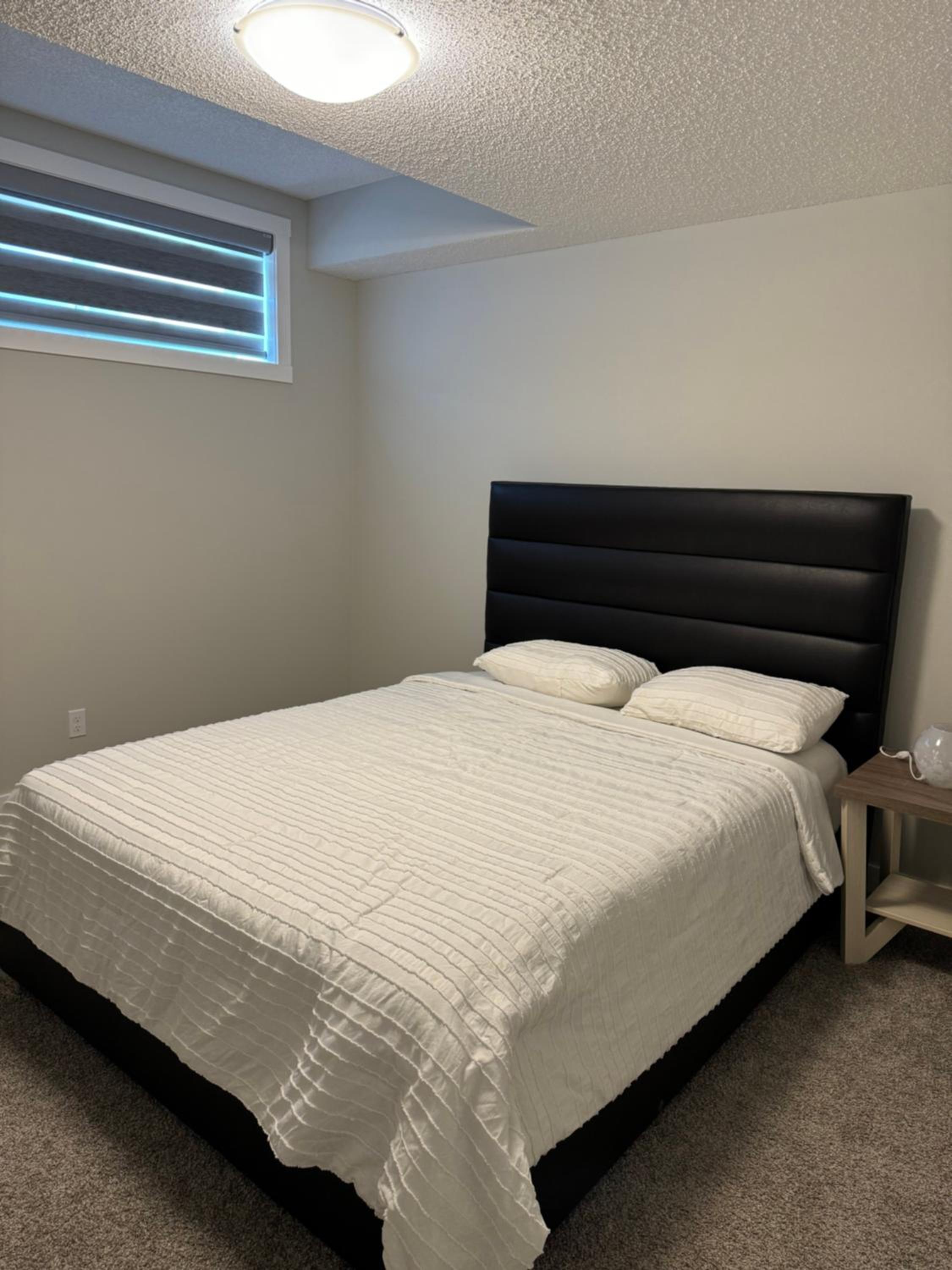 Brand new 1 bedroom basement suit