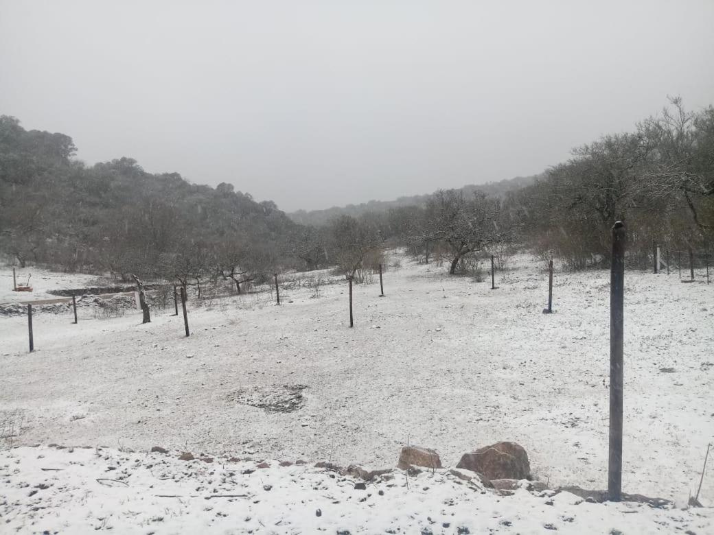 Cabañas Ecovalle