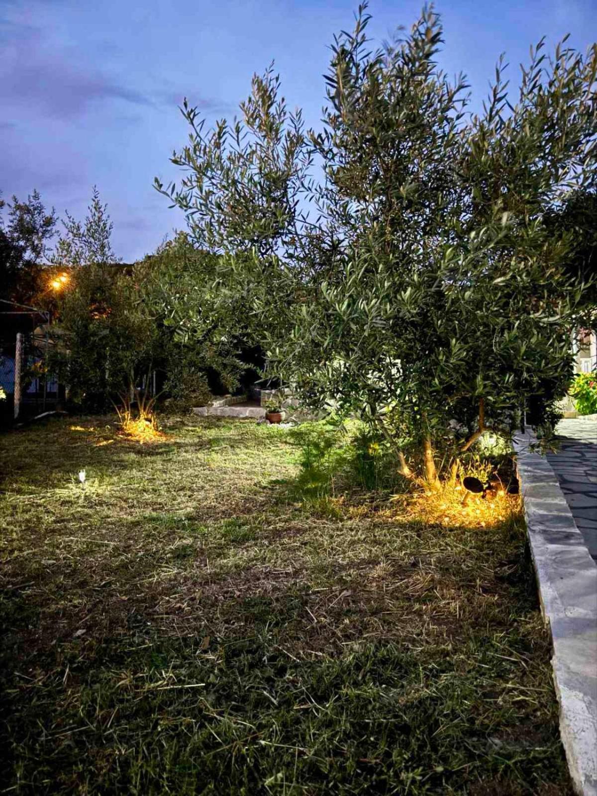 Villa Eden