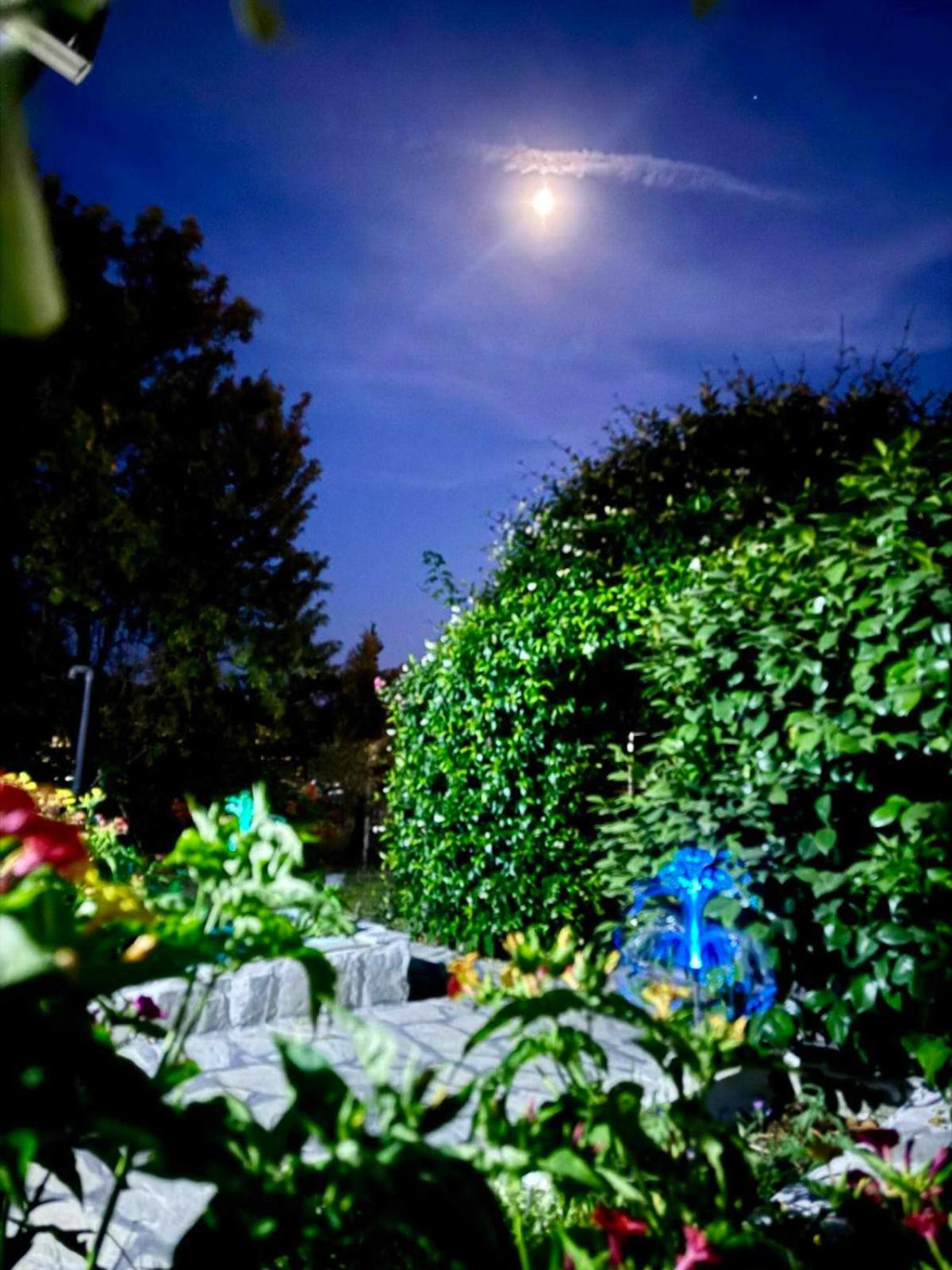 Villa Eden