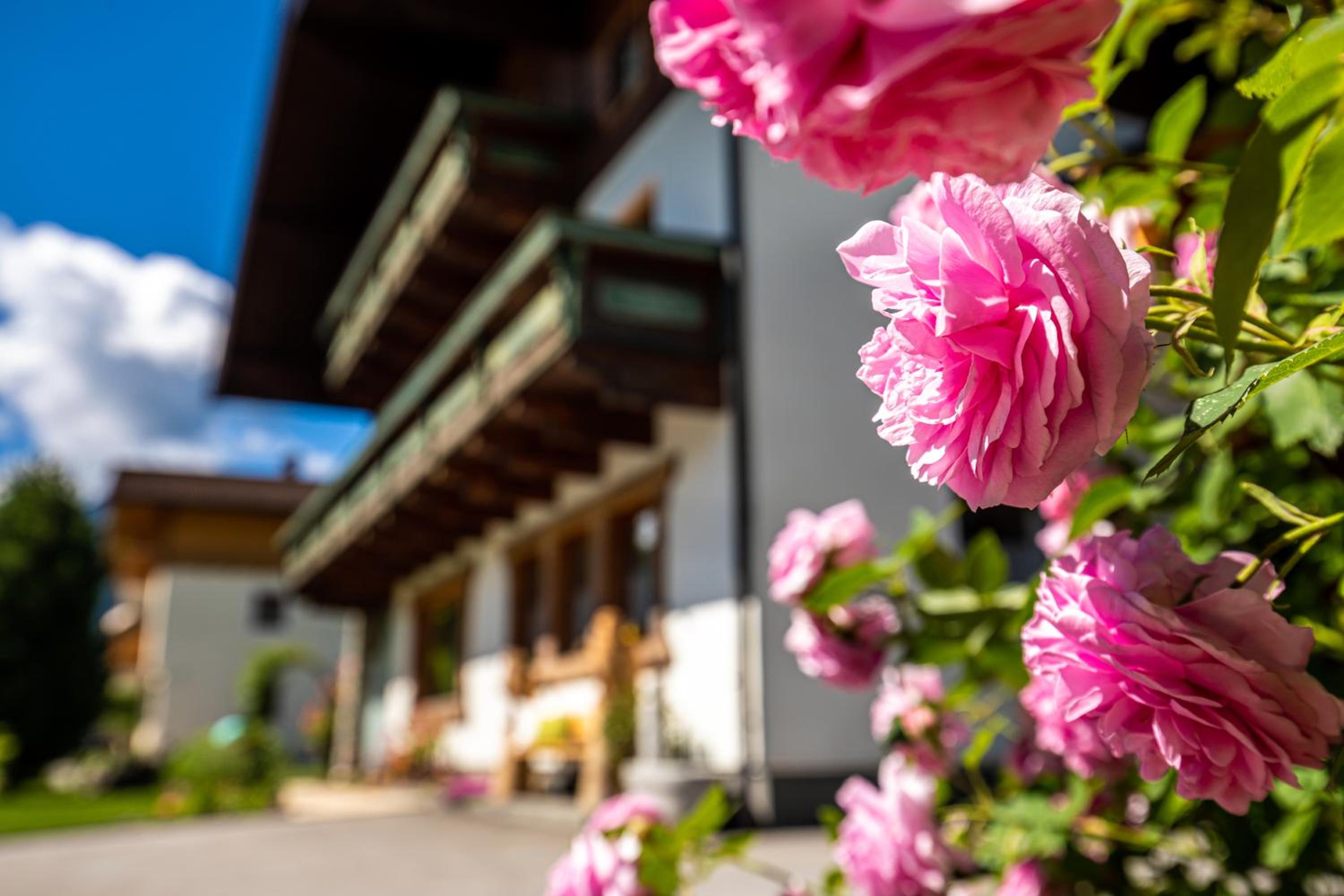 Holiday im Gästehaus Warter in Altenmarkt