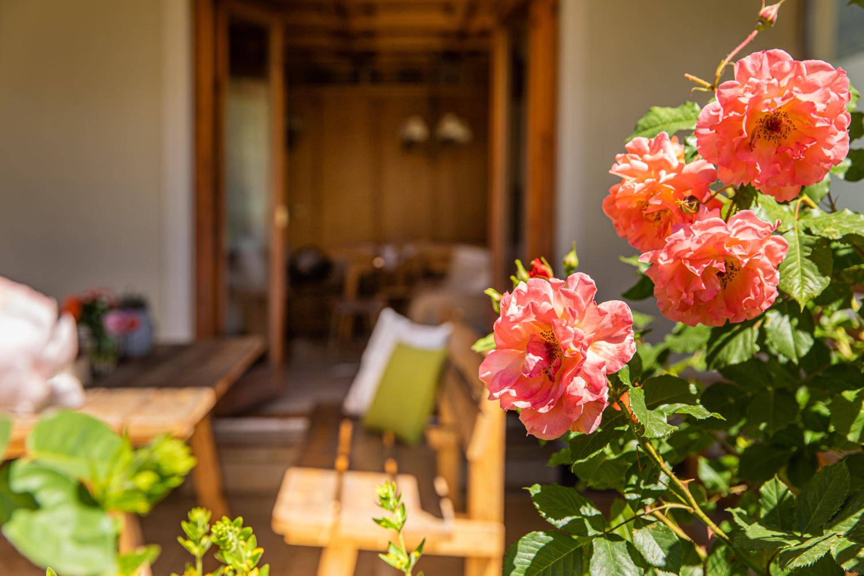 Holiday im Gästehaus Warter in Altenmarkt