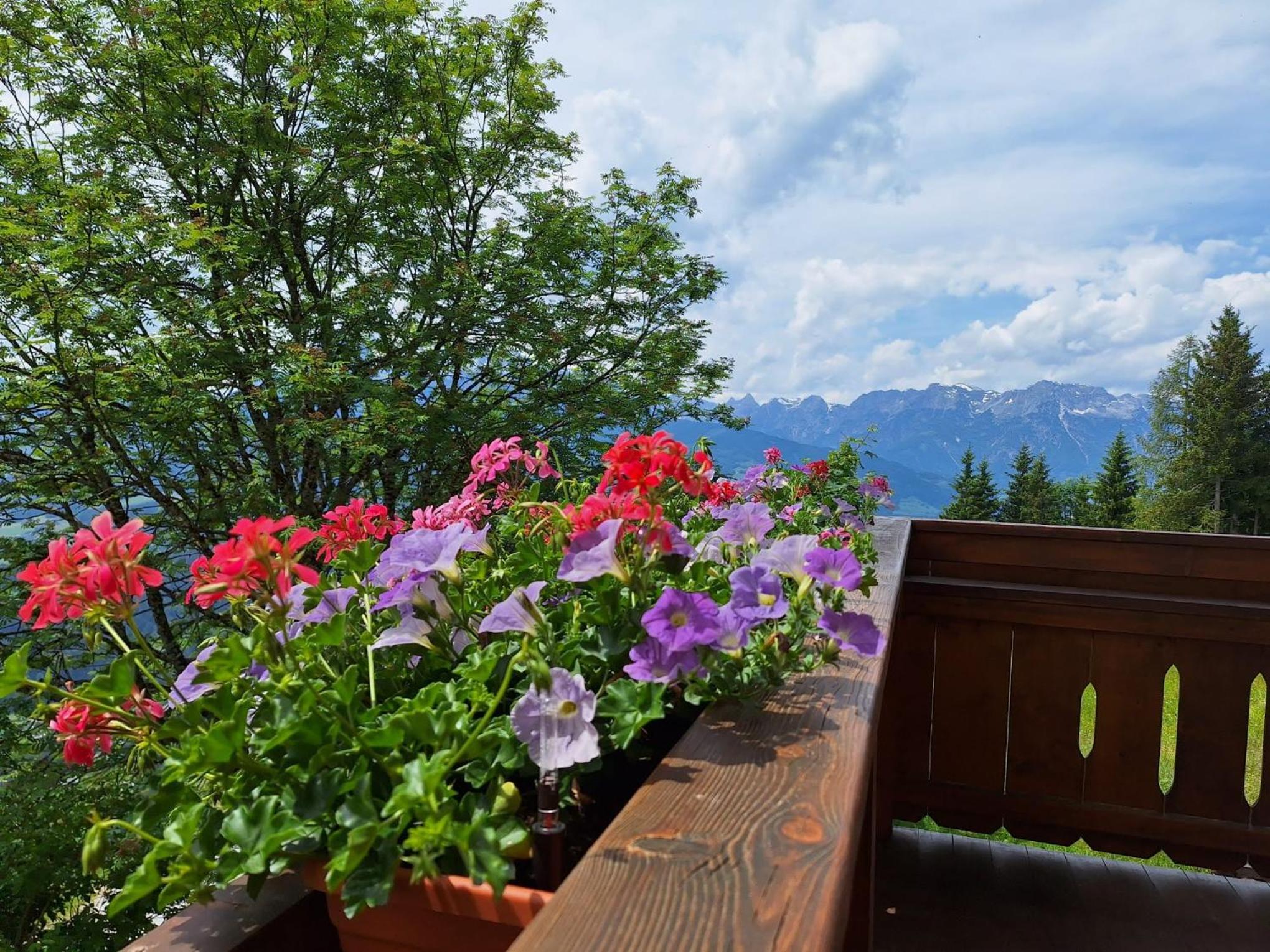 Sonnseit`n Hochmaisalm