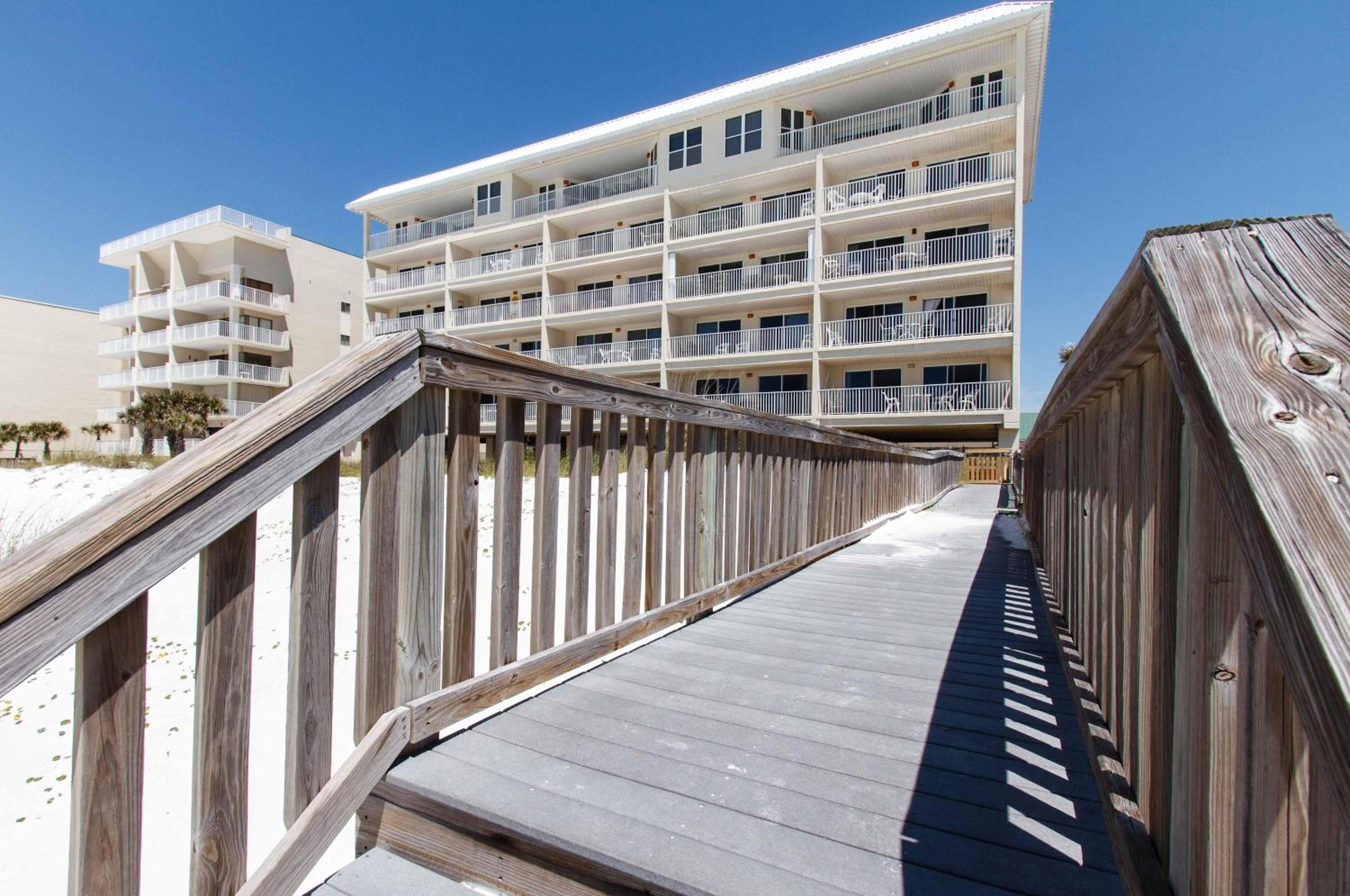 The Palms 502