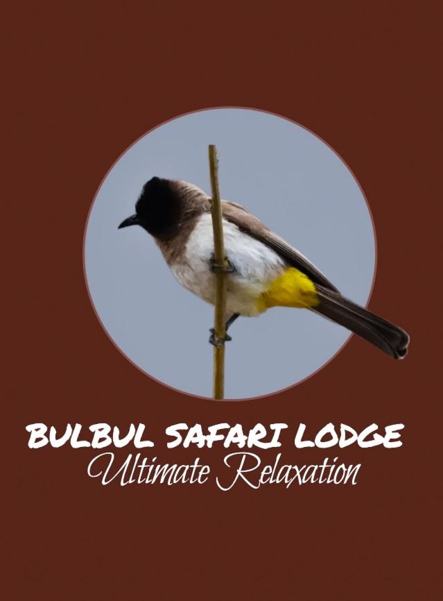 Bulbul safaris Lodge