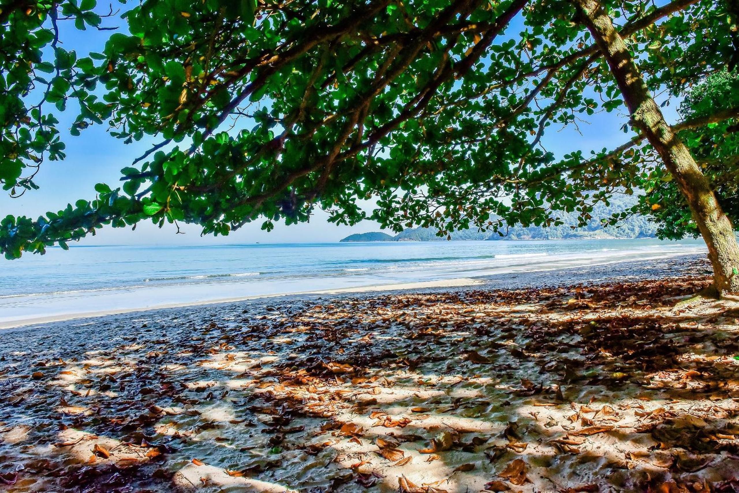 João de Barro House - Guaecá Beach