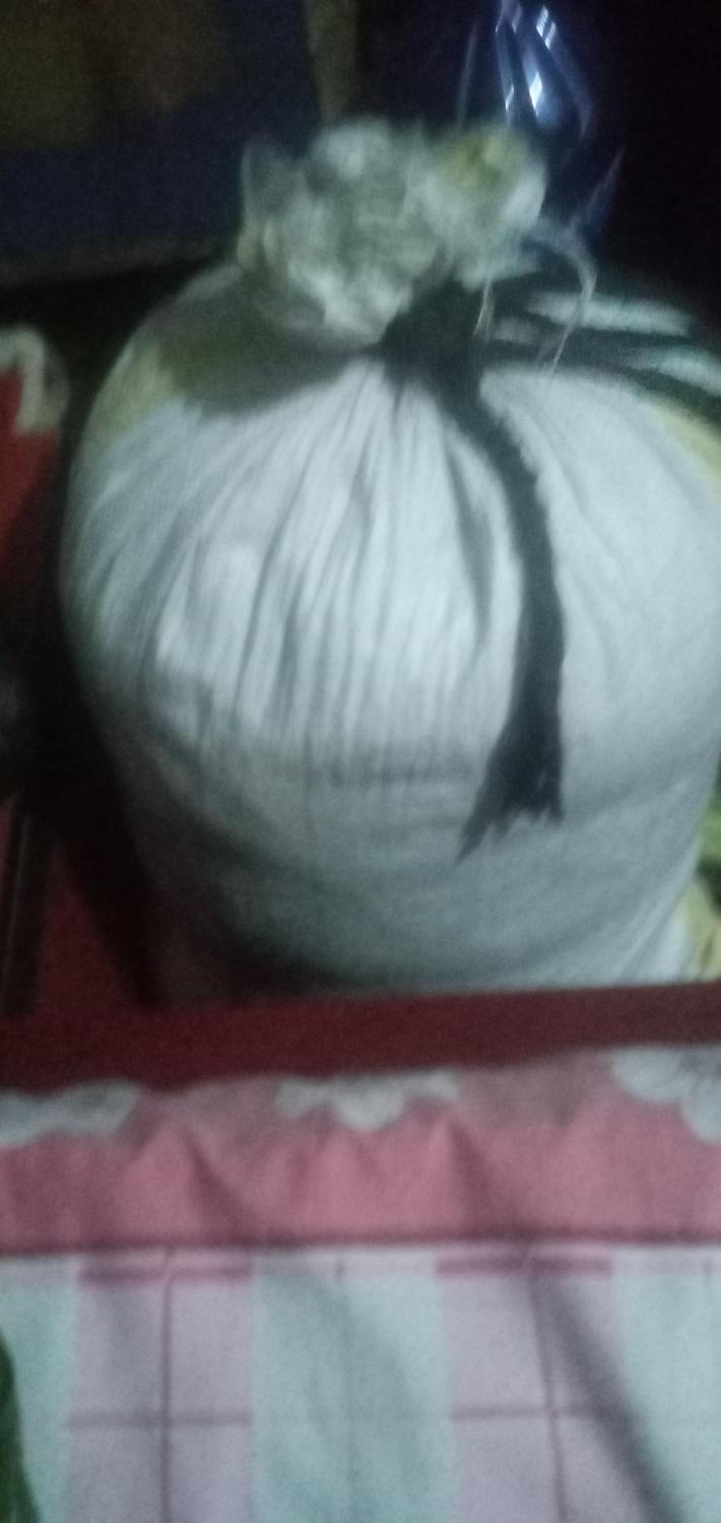 Bag