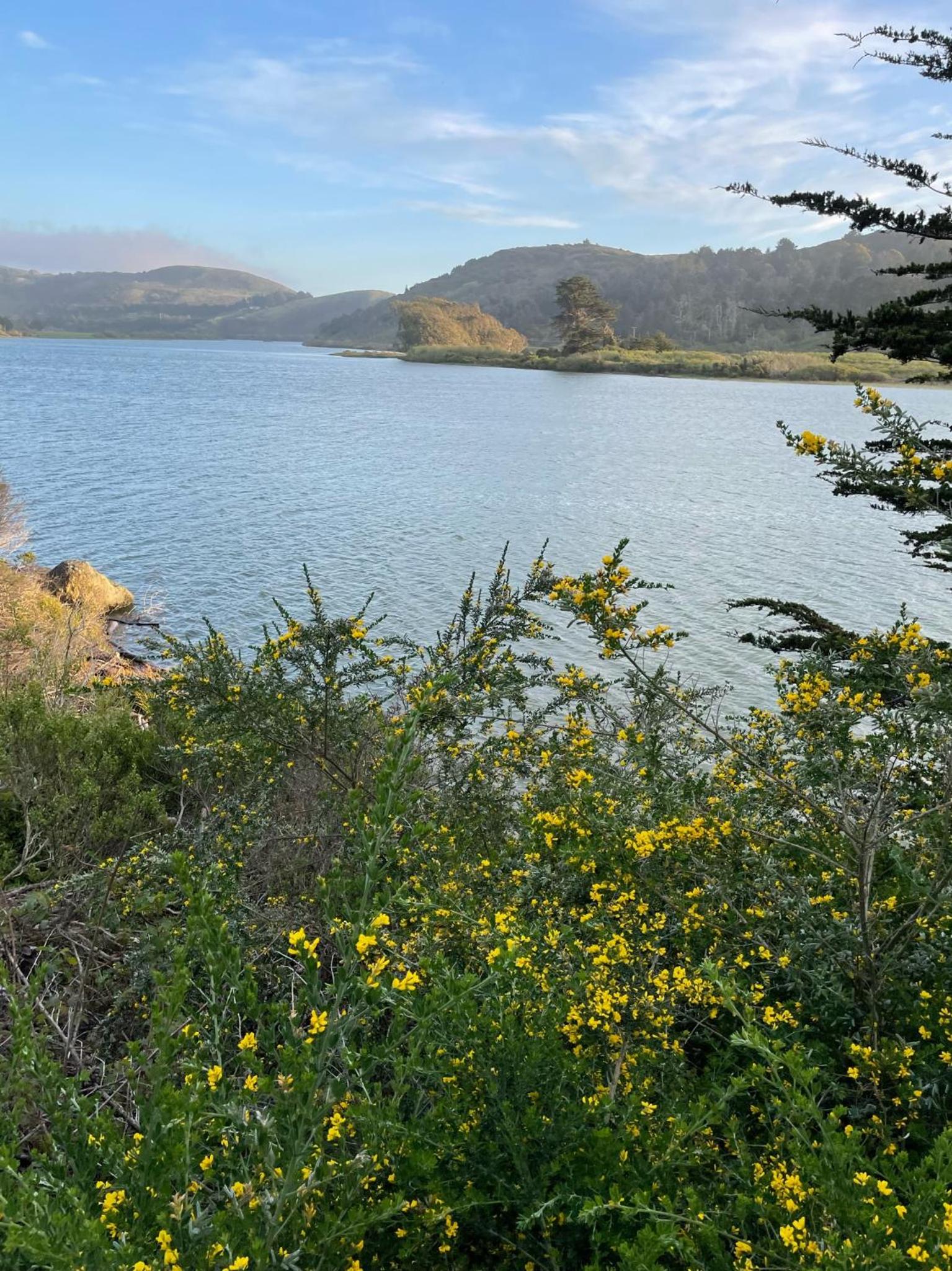 other
