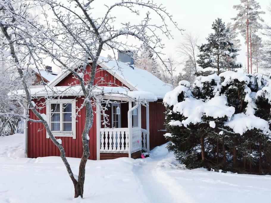 Ireneborg, cottage with Finnish sauna