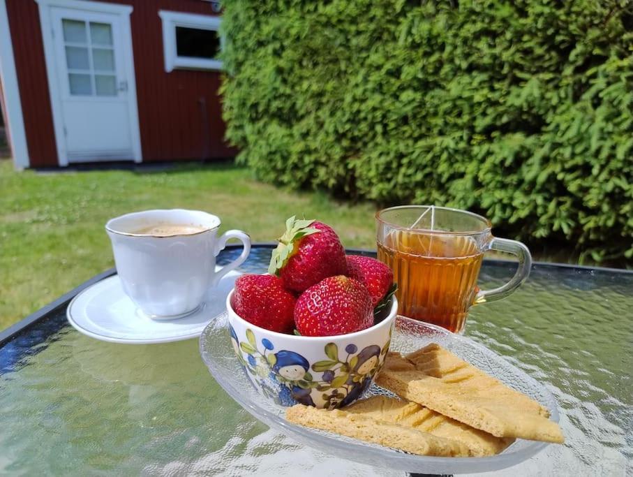 Ireneborg, cottage with Finnish sauna