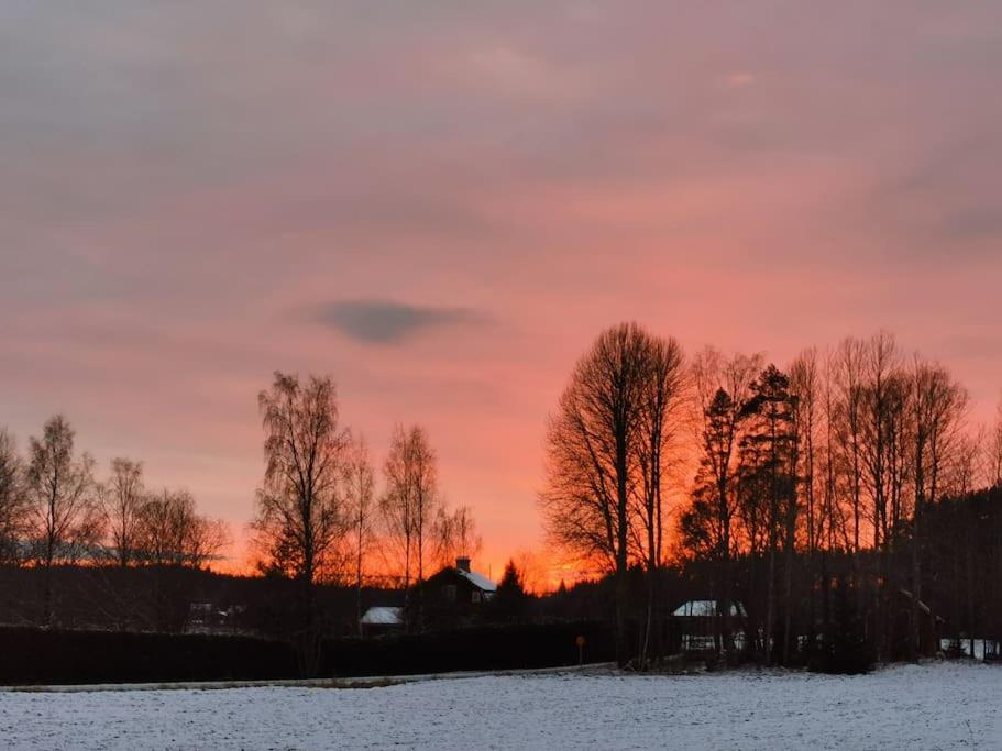 Ireneborg, cottage with Finnish sauna