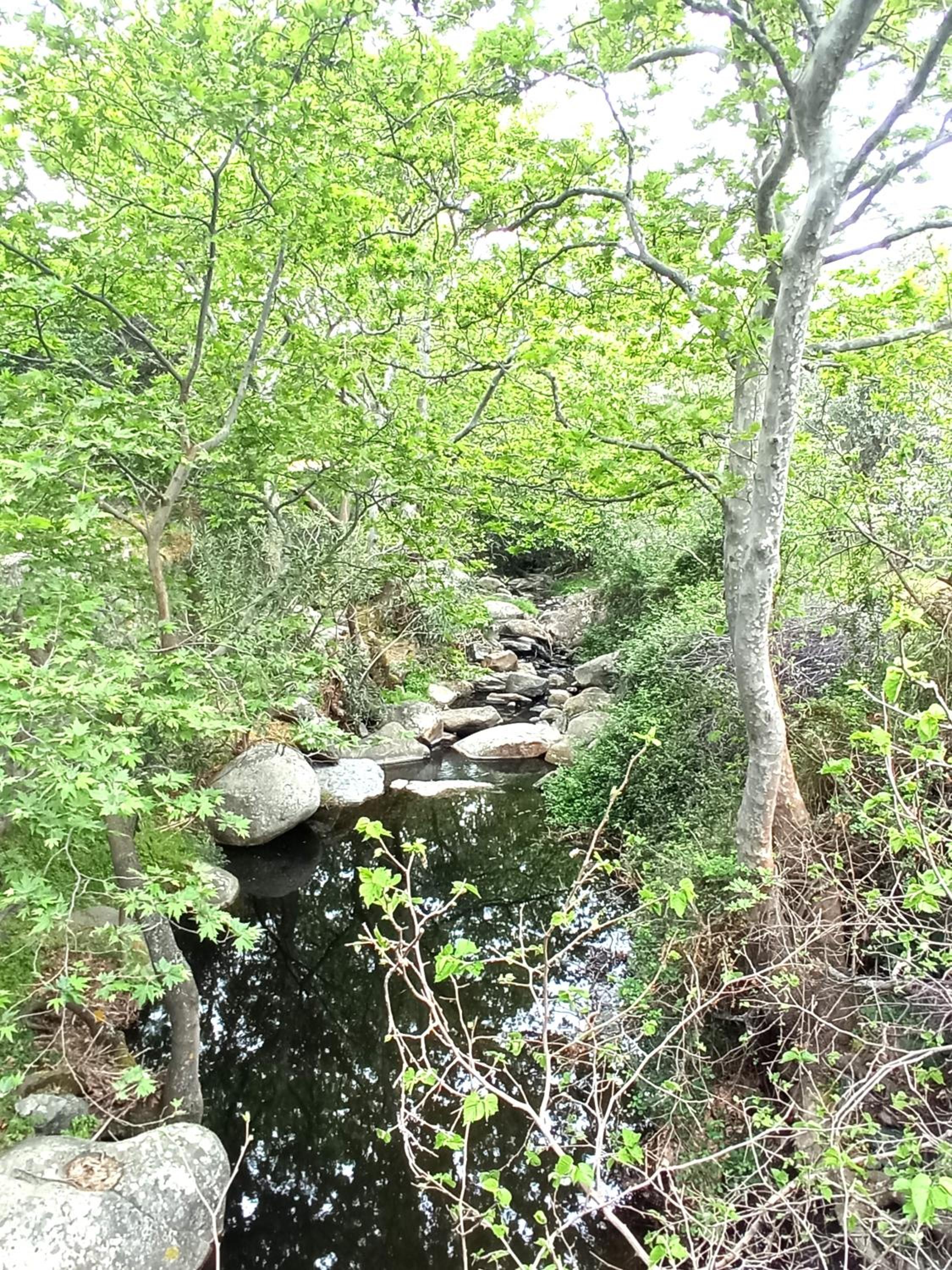 Photo 32
