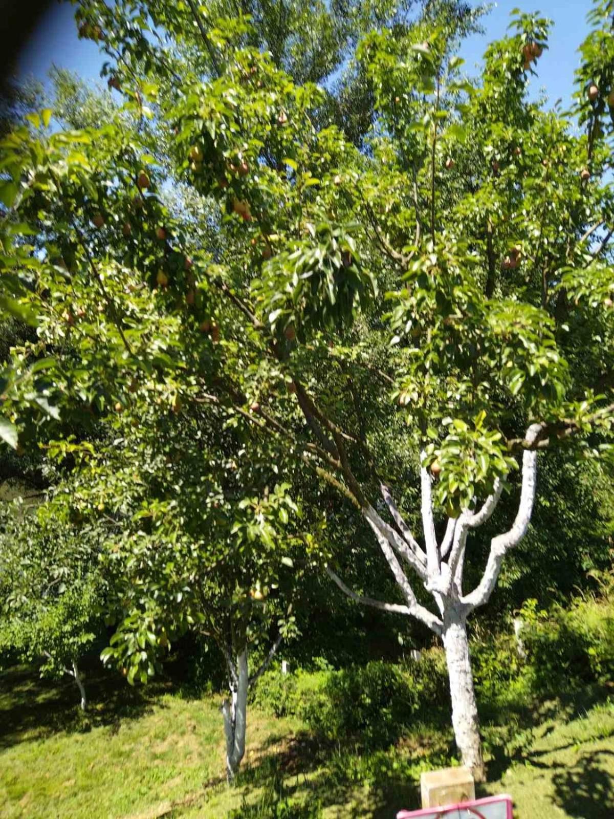Sarajevo Villa Sunce